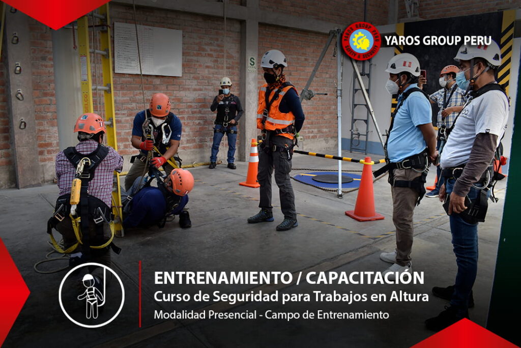 Grupo de trabajadores realizando ejercicios de seguridad en altura