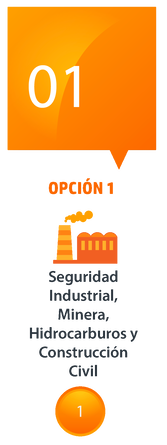 Capacitación en seguridad industrial para trabajadores