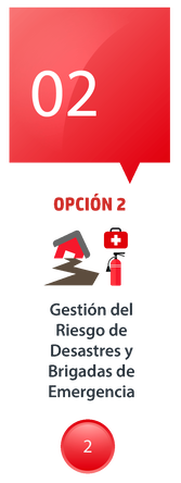 Formación de brigadistas para la prevención y atención de emergencias