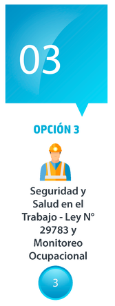 Capacitación para la seguridad y salud en el trabajo
