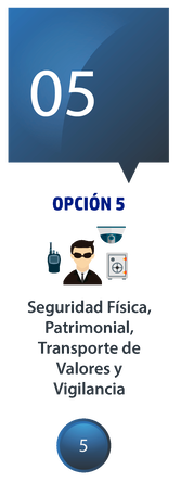 Capacitación en protección de instalaciones y seguridad patrimonial